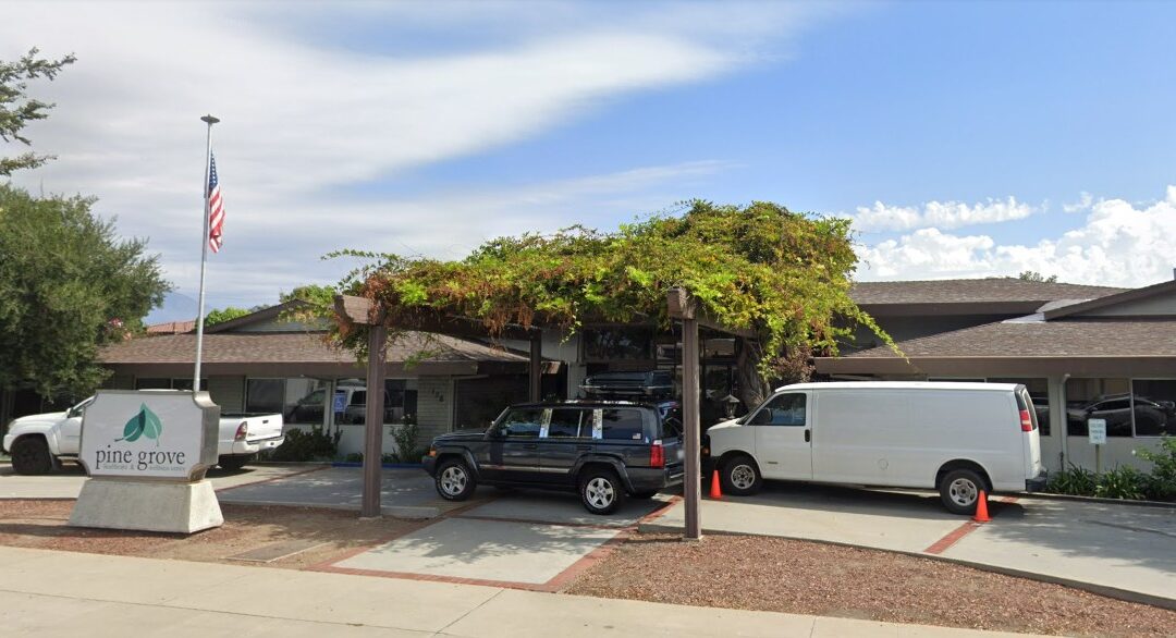 Pine Grove Health & Wellness